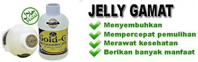 Jelly Gamat merawat